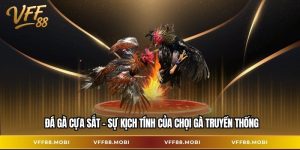 Đá gà cựa sắt